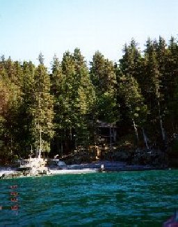 the Kassube cabin hidden in the trees