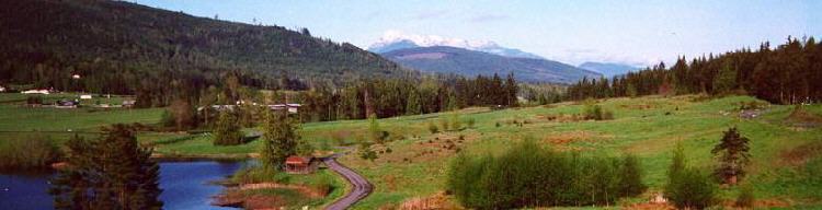 View from our house in Sequim