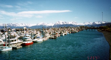 the harbor at the Homer Spit